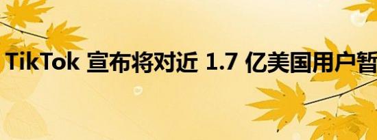 TikTok 宣布将对近 1.7 亿美国用户暂停服务